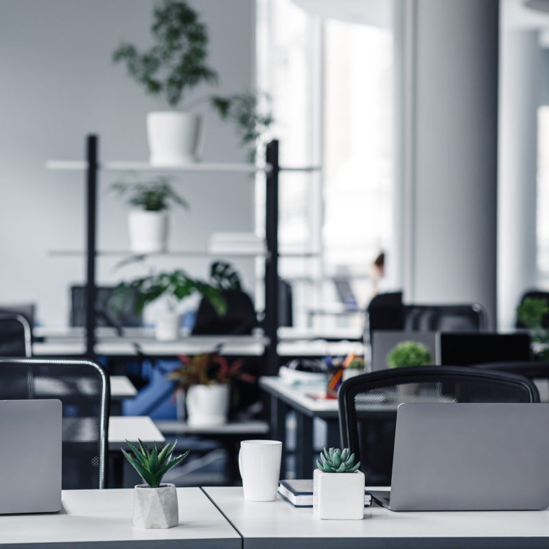 Office interior with white columns and panoramic windows in modern loft. Many green plants in pots in workroom with laptops on tables with chairs and cups at daylight, flat lay, nobody, free space
